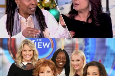 For more than two decades, The View has reigned as one of television’s most unpredictable and compelling daytime programs.