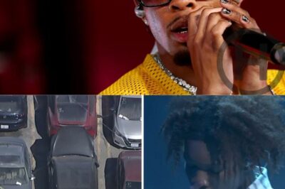 New Dv4d Investigation, Major Lawsuit Coming: What You Need to Know (NH)