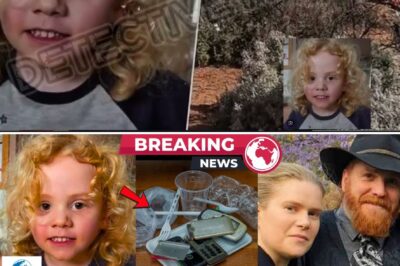 The official story: 4-year-old Gus Lamont vanished into the outback leaving zero trace. The unofficial whispers: Searchers found something. Rumors are swirling that “material” was recovered from the scene, yet police remain silent, insisting nothing was found.