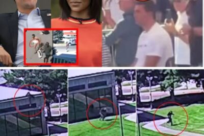 ‘Everything We Thought Was Wrong’: Candace Owens’ 12-Second Viral Clip Ignites Firestorm Over Key Investigation, Leaving Experts Stunned