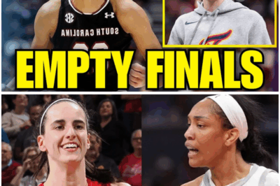 A’Ja Wilson’s Tantrum and Caitlin Clark Blame Game: Inside the Empty Stands Controversy That Overshadowed Game 2 of the WNBA Finals