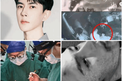 A Surgeon’s Vanishing, a Star’s Mysterious Death, and a Buried Truth: The Unraveling Mystery of Wu Menglong