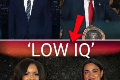 The Cognitive Clash: Japan Rally Ramblings and the Televised IQ Test That Nobody Saw Coming