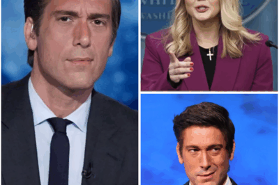 “You Think I’m Done? Think Again!” David Muir Strikes Back with $50 Million Lawsuit After Karoline Leavitt’s Explosive On-Air Ambush