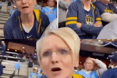 From Charity Boardroom to Viral Shame: Brewers Fan Identified as Make-a-Wish Leader After Racist Tirade Against U.S. Veteran