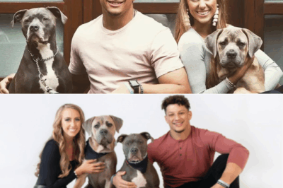 More Than a Quarterback: Patrick Mahomes’ Quiet Walk-In That Saved 39 Dogs from the Brink