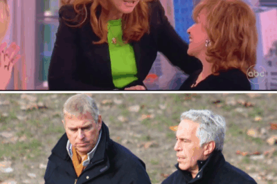 Prince Andrew Stripped of Titles: A Royal Fall from Grace That Shakes the Monarchy