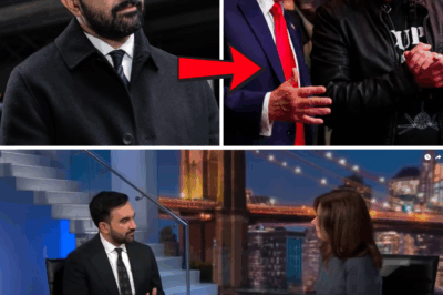 A Deep Dive Analysis: The New York Mayoral Race and the Unexpected Alliance of the Ultra-Elite