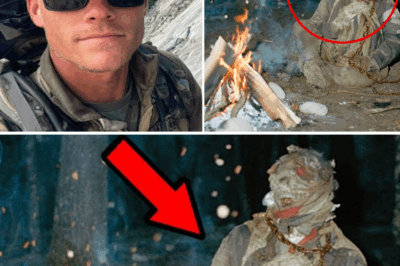 The Frozen Testament: Three Years of Glacier Mystery Ends with a Mummified Hiker Found Next to His Extinguished Fire