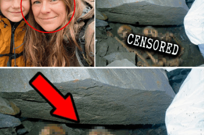 The Waterfall’s Silent Tomb: Mother and Son Missing for Three Years Found Under a Rock Near Cascading Water
