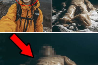 The Appalachian’s Eerie Secret: Missing Hiker Found After Two Years, Mummified and Encased in a Mysterious Wax