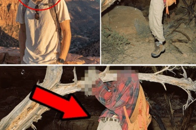 The Canyon’s Cruel Altar: Missing Zion Tourist Found Three Years Later Suspended High in a Tree
