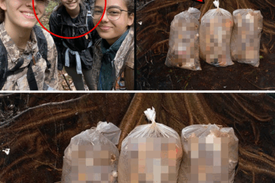 The Wilderness’s Weighted Secret: Missing Teenagers Found After Three Years in Bags Under a Crushed Tree