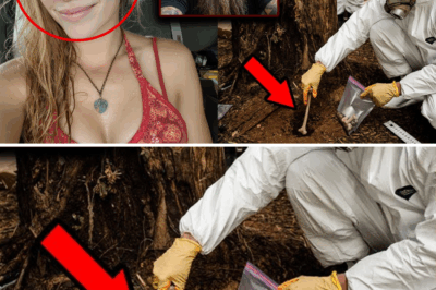 The Ink’s Secret Witness: Hitchhiker Missing Since 1996 Found After 19 Years, Thanks to DNA in a Tattoo Artist’s Supply