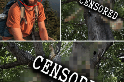 The Haunting Silence of the Oregon Woods: What Really Happened to the Lone Hiker Found Three Years Later?