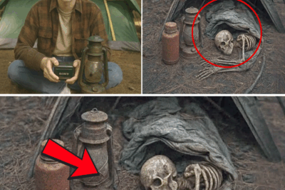 The Haunting Discovery in the Washington Wilderness: Solved Twelve Years After Teen Camper Vanished