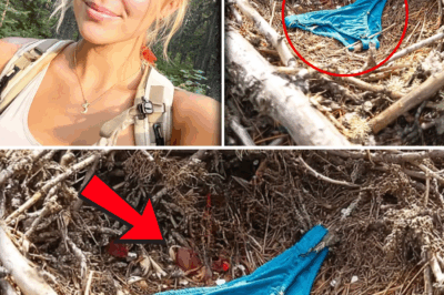 The Unthinkable Clue: Nine Months After Her Vanishing on Mount Rainier, a Hawk’s Nest Held the Tragic Secret of Eliza’s Last Days