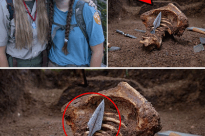 The Appalachian Enigma: A Decade After They Vanished, a Bone with an Ancient Arrowhead Revealed the Teens’ Unthinkable Fate