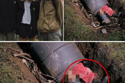 The Unsealing of the Past: A Decade After They Vanished in the Appalachians, the Remains of the ‘Blackwood Five’ Were Found Sealed Inside an Old Barrel