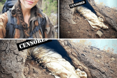 The Arbor of Silence: Four Years After a Woman Vanished in Montana, the Ghastly Discovery Sealed Inside a Dead Tree Reveals a Terrifying Truth