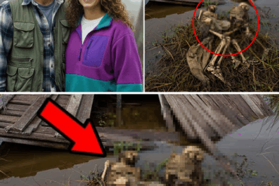 The Silent Water: After Years Missing in the Florida Swamps, the Skeletons of David and Clara Hayes Found Under a Mysterious Floating Cabin