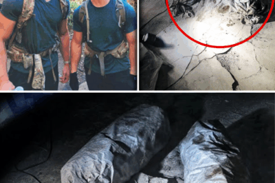 The Unlikely Grave: Two Brothers Vanished on a Mountain Hike, Only to be Found Two Years Later Sealed Beneath a Small Town Gas Station