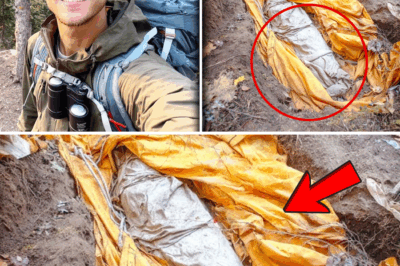 The Final Rest Stop: Missing Shasta Tourist Matthew Cole Found After Two Months, Sealed Inside the Canvas of His Own Tent