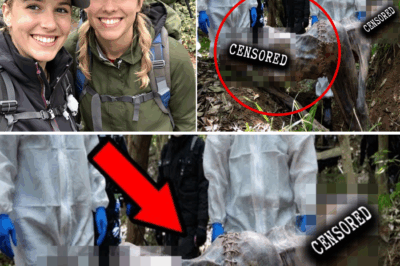 The Unthinkable Discovery: How a Weekend Camping Trip Became a Three-Year Nightmare Ending in Unspeakable Horror