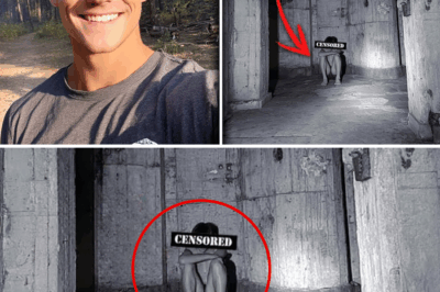 Two Years Lost: The Unimaginable Discovery of a Vanished Washington Teenager Inside a Forgotten Underground Bunker