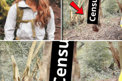 One Year Lost on the Appalachian Trail: The Haunting Discovery That Ended the Search for a Missing Hiker