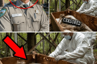 The Haunting Echoes of 1980: Park Ranger Vanishes, Only to Be Found Decades Later—Inside a Watchtower!