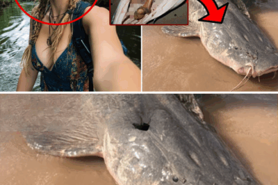 The Ultimate Predator: Hiker Vanishes in Congaree, Only to Be Found Years Later—Inside a Giant Catfish!
