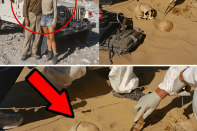 Sealed by the Desert: The Haunting Fate of Utah Newlyweds Unearthed 19 Years After Vanishing in the Canyons!