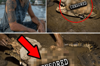 The Swamp’s Final Meal: Louisiana Fisherman Vanishes, Found 15 Years Later—Inside the Stomach of a Colossal Alligator!