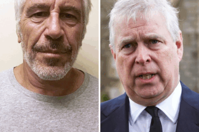 THE EPSTEIN FILES REOPENED: NEW EMAILS THREATEN TO EXPOSE MORE OF THE SHADOWY POWER NETWORK