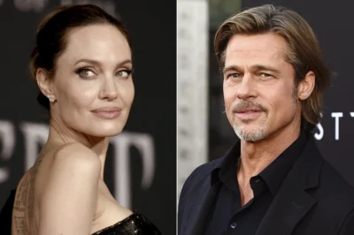 The Miraval War Escalates: Brad Pitt Demands Over $35 Million in Damages from Angelina Jolie – What is the Actor’s Legal Argument?