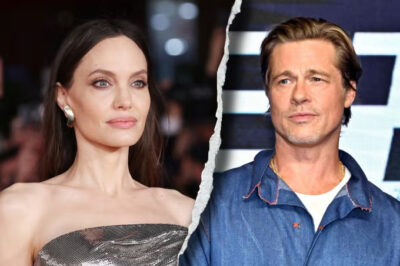 Brangelina’s Endless War: Brad Pitt Demands $35 Million in Vengeful Château Miraval Lawsuit