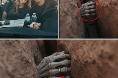 The Ghost Road Trip: Seven Years After a Couple Vanished, a Stranger’s Discovery Unlocked a Tragic Mystery