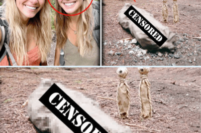 The Haunting of the Sisters: How a Lone Discovery in an Idaho Forest Three Years Later Revealed a Silent Terror