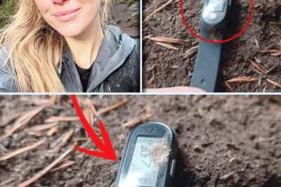 The Ghost Pacer: How a Hiker Vanished in the Redwoods, Only for Her Fitness Tracker to Start Counting Steps Nine Months Later