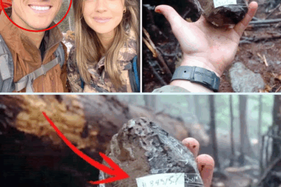 The Mountain Whisper: Six Years After a Couple Vanished in Colorado, a Fallen Pine Tree Revealed a Single, Silent Stone